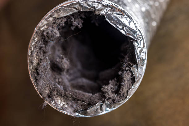 Best Air Duct Cleaning Near Me  in Citrus Hills, FL